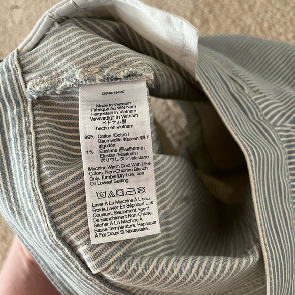 NWT The Denim Emmett Short in Yarn-Dyed Stripe: Welt Pocket Edition - Picture 5 of 6